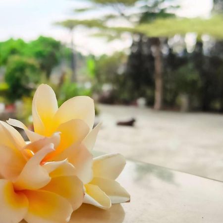 登雲villa Shan-lin エクステリア 写真