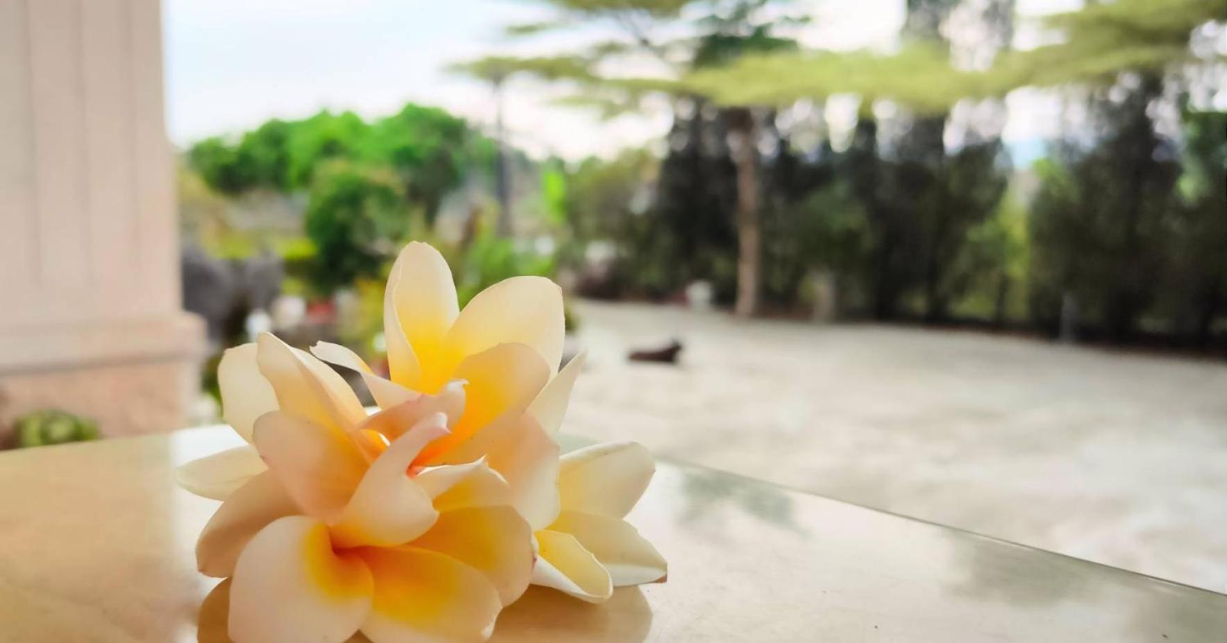登雲villa Shan-lin エクステリア 写真
